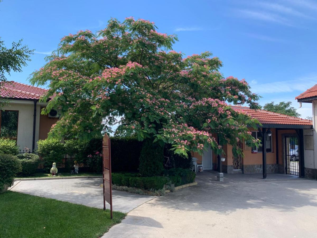 Apartcomplex Chateau Aheloy Exterior foto